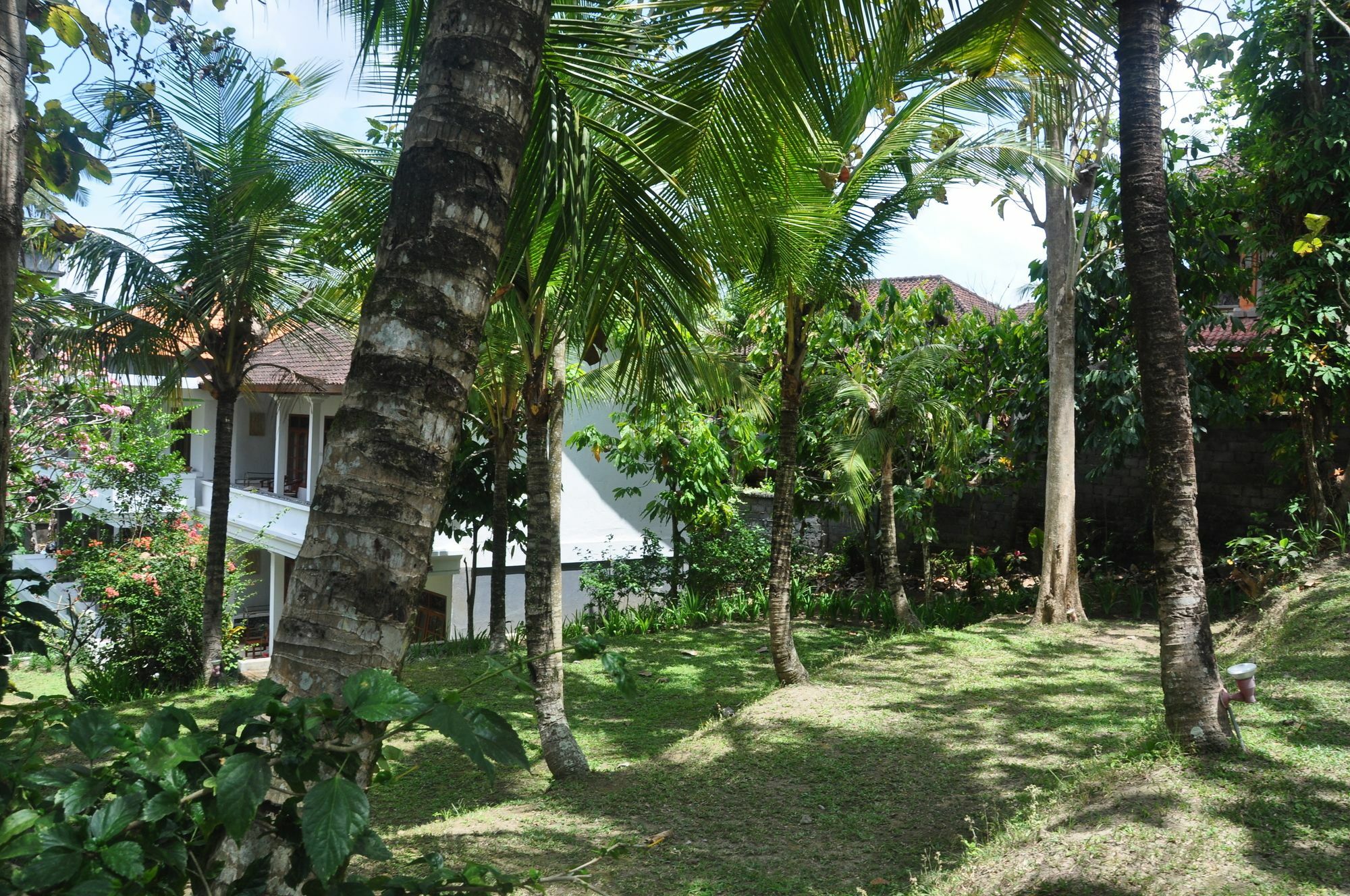 Argasoka Bungalows Ubud  Exterior photo